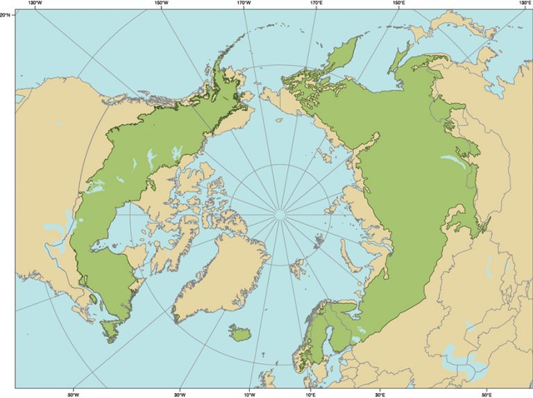 In green: borders of the boreal forest (source : Ressource Naturelle Canada, basé sur Avrenko and Sochava 1954, Ahti et al. 1968, Denisov 1970, and Kurnaev 1990 ; North America is taken from Brandt 2009 ; https://www.rncan.gc.ca/forets/boreale/18207)