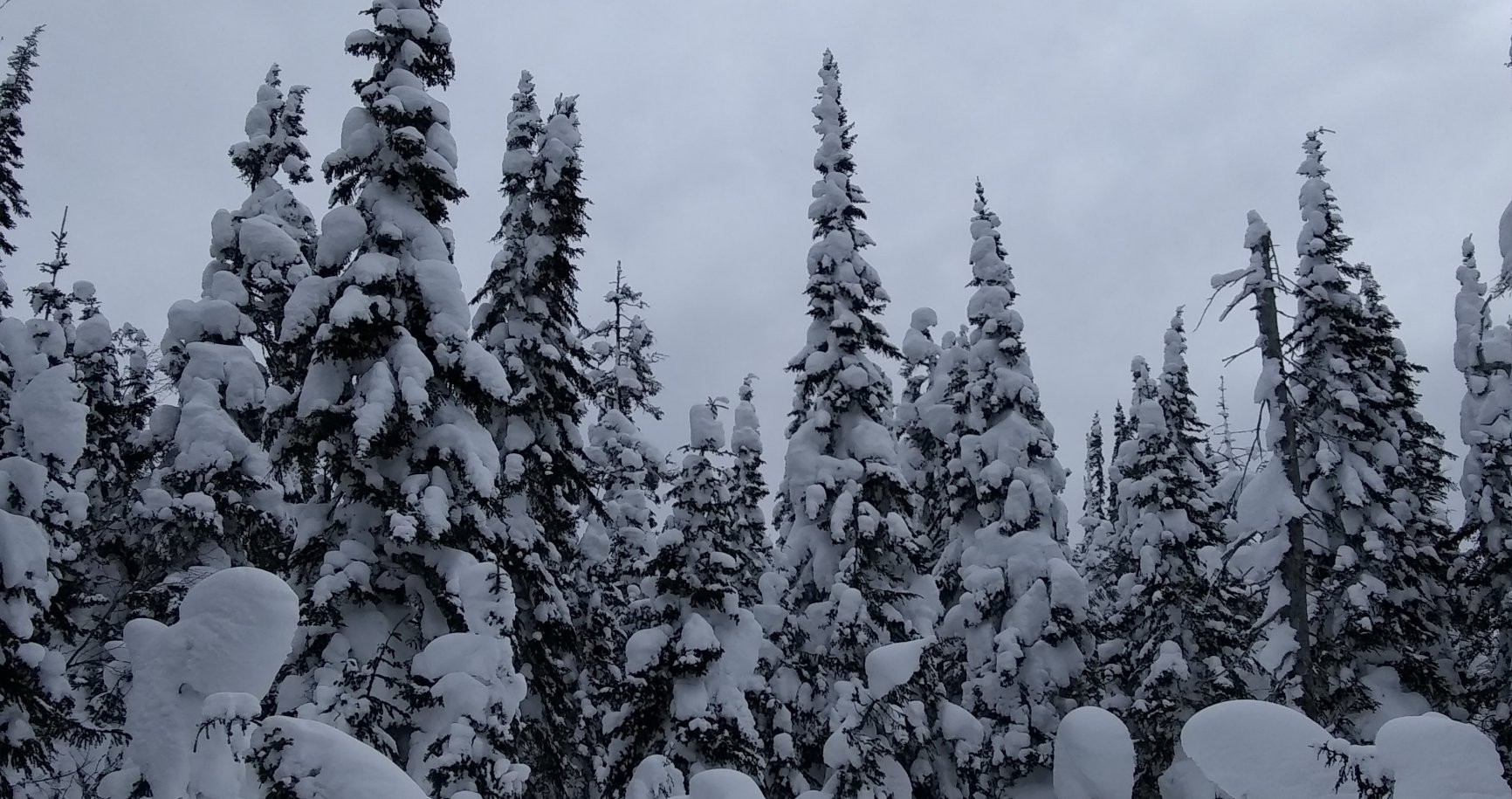 The valley of ghosts under the snow.